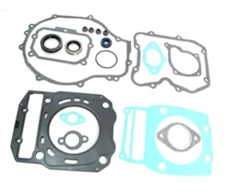 Täydellinen Tiivistesarja Polaris kuva