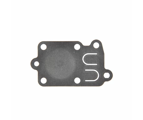 Kaasuttimen kalvo, B&S, 272538 kuva