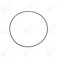 293300130 Ketjukotelon tiiviste Chaincase O ring
