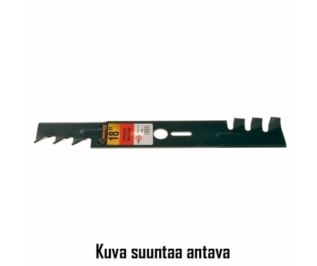 50351 kuva