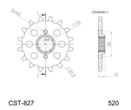 CST-827-14-1 kuva