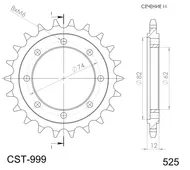CST-999-22-1