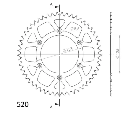 RAL-210-48-1 (1) kuva
