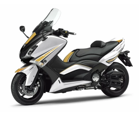 Puig Stickers Kit Tmax 12'-14' C/Gold-Wh kuva