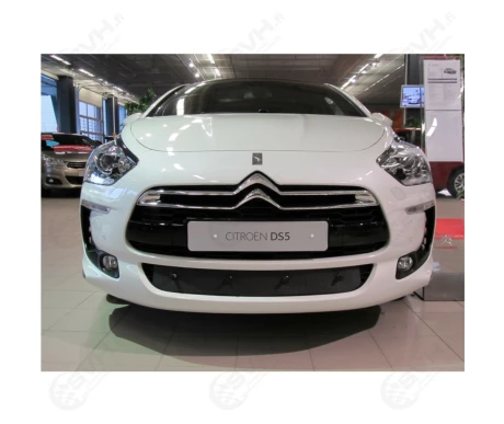 ts165 maskisuoja citroen ds5 kuva