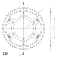 RST-210-49-1