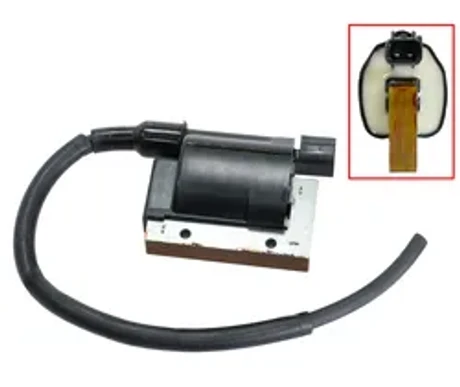 Sytytyspuola, Can-Am kuva