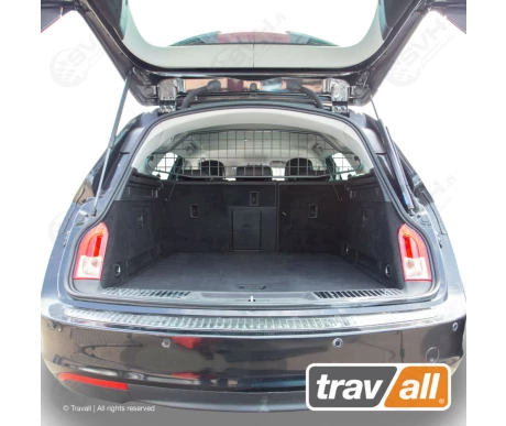 TDG1618 travall koiraverkko kuva