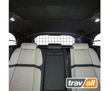 TDG1631 travall koiraverkko1 kuva