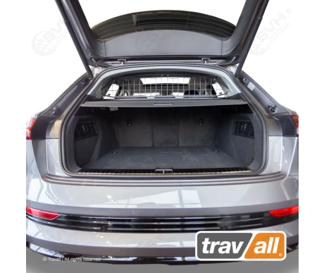 TDG1641 travall koiraverkko audi e tron1 kuva