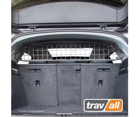 TDG1641 travall koiraverkko audi e tron kuva