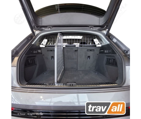 TDG1641D travall tilanjakaja audi e tron1 kuva