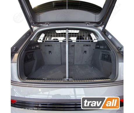 TDG1641D travall tilanjakaja audi e tron2 kuva