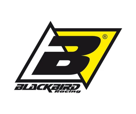 382-blackbirdlogo kuva