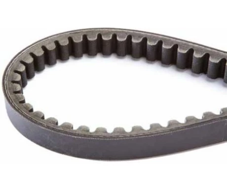 ARIETE-BELT-STD kuva