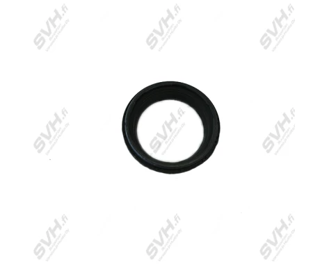 SEAL, DUST GSX-R1000/K5- kuva