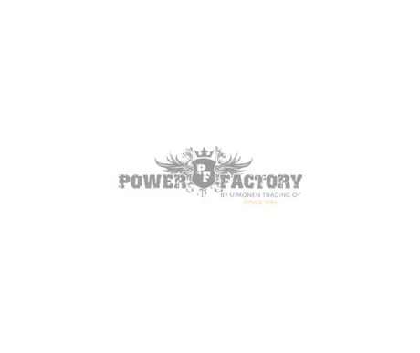 powerfactory kuva