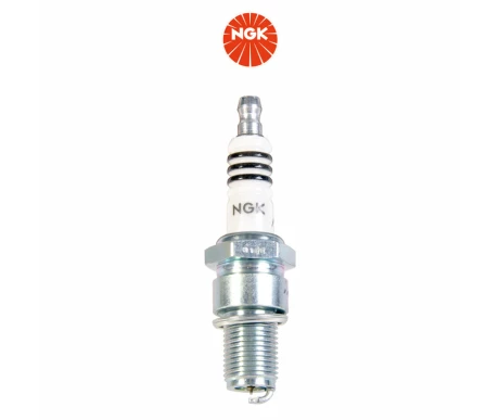 N5044 kuva