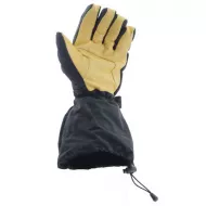 639 1640 palm