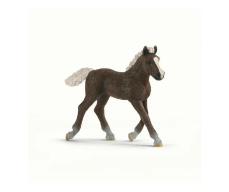 Schleich 13899 Schwarzwaldinrautias varsa kuva