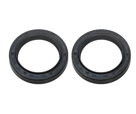 PSYCHIC FORK SEAL KIT 36X48X8/9.5 TC4L kuva