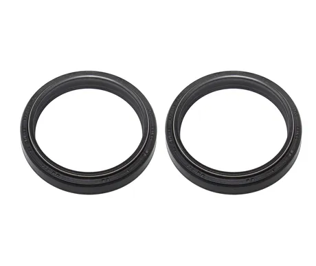 PSYCHIC FORK SEAL KIT 48X58X8.5/10.5 DC4 kuva