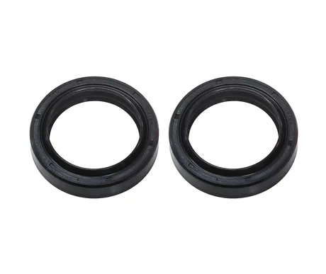 PSYCHIC FORK SEAL KIT 36X48X10.5/12 TC4L kuva