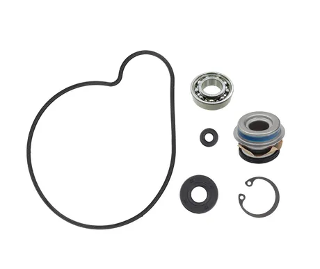 Sno-X Water Pump Repair Kit kuva
