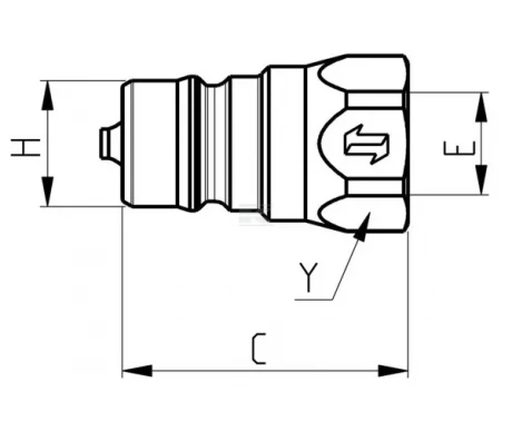 2 anv male td 1 kuva