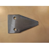 IMG 20250304 101122 HDR