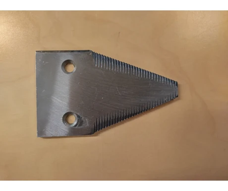 IMG 20250304 101122 HDR kuva