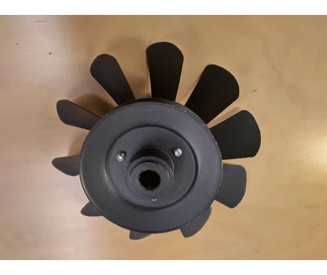 IMG 20250325 095702 HDR kuva