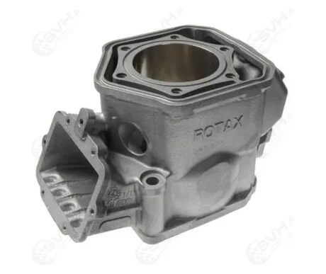 Rotax Lynx Ski Doo 420613944 Sylinteri 600 H.O SDI 04 07 60 600B kuva