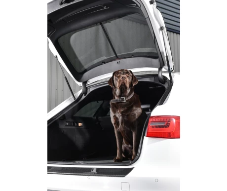 DSC 9628 crop v2 kuva