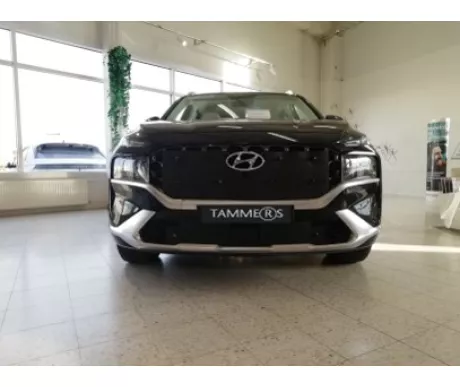 TS938 Hyundai Santa Fe 2021  kuva