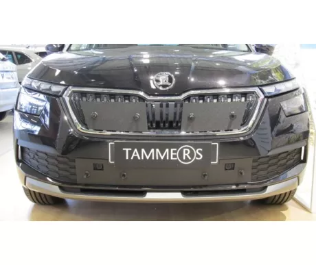 TS818 Skoda Kamiq 2020  kuva