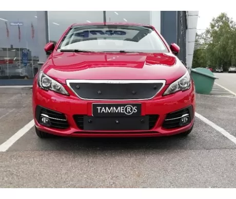 TS885 Peugeot 308 2019  kuva