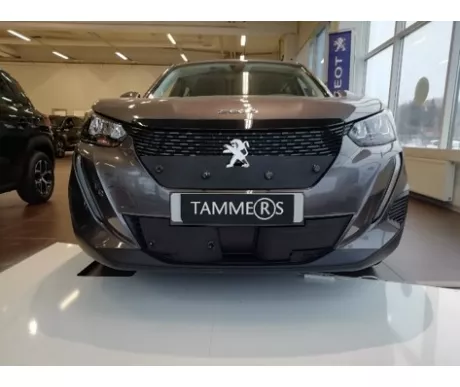 TS892 Peugeot 2008 21  kuva