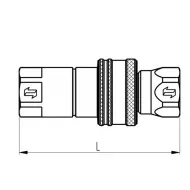 Pikaliitin naaras 3 8 10 BSP ANV38GASM2