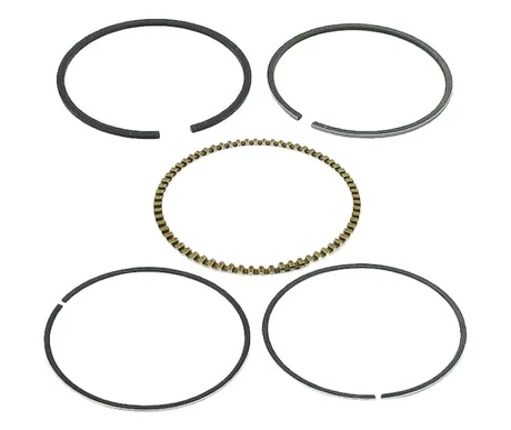 honda rings 19 kuva