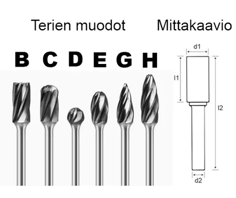 terien muodot alu kuva