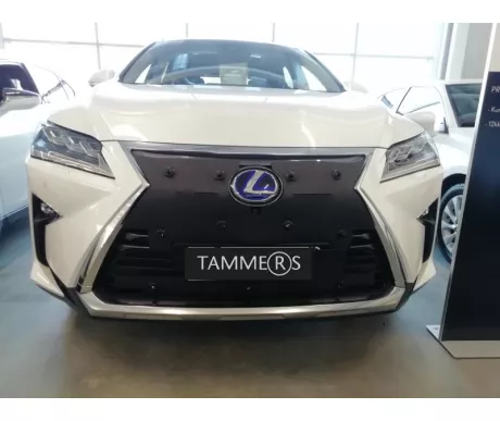 TS1003 Lexus RX450h 2018 2019 kuva