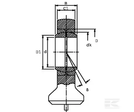 spherical bear gk do a td kuva