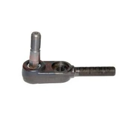 Raidetangon pää kuva