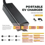 BN20 inner carton sticker gold