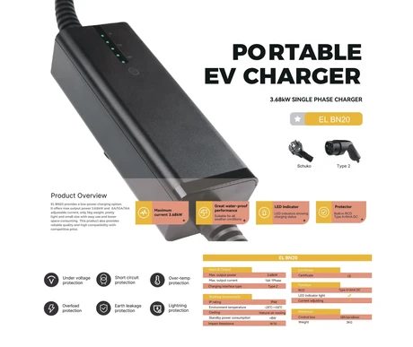 BN20 inner carton sticker gold kuva