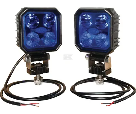 Ruiskuvalosarja sininen 2x9W kuva