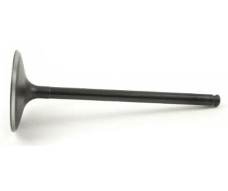 Imuventtiili, Polaris kuva