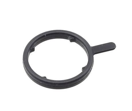 Öljypumpun O-rengas, Polaris kuva