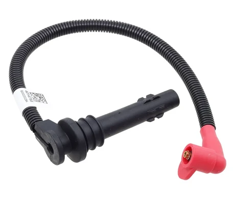 Sytytysjohto, Polaris kuva